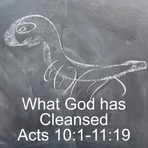 What God has cleansed; Acts 10:1-11:19