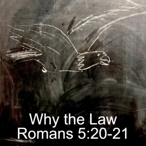 Why the Law; Romans 5:20-21