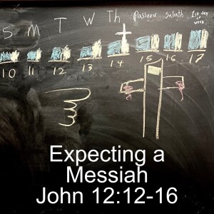 John 12:12-16; Expecting A Messiah; Palm Sunday