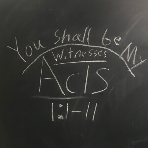 ”You Shall Be My Witnesses” Acts 1:1-11