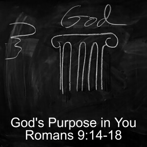 God's Purpose in You; Romans 9:14-18