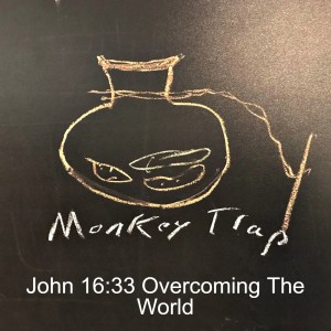 John 16:33 Overcoming the World