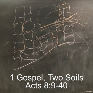 1 Gospel, 2 Soils; Acts 8:9-40