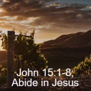 John 15:1-8; Abide in Jesus