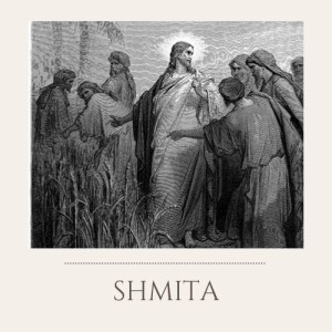 S1E21: Shmita