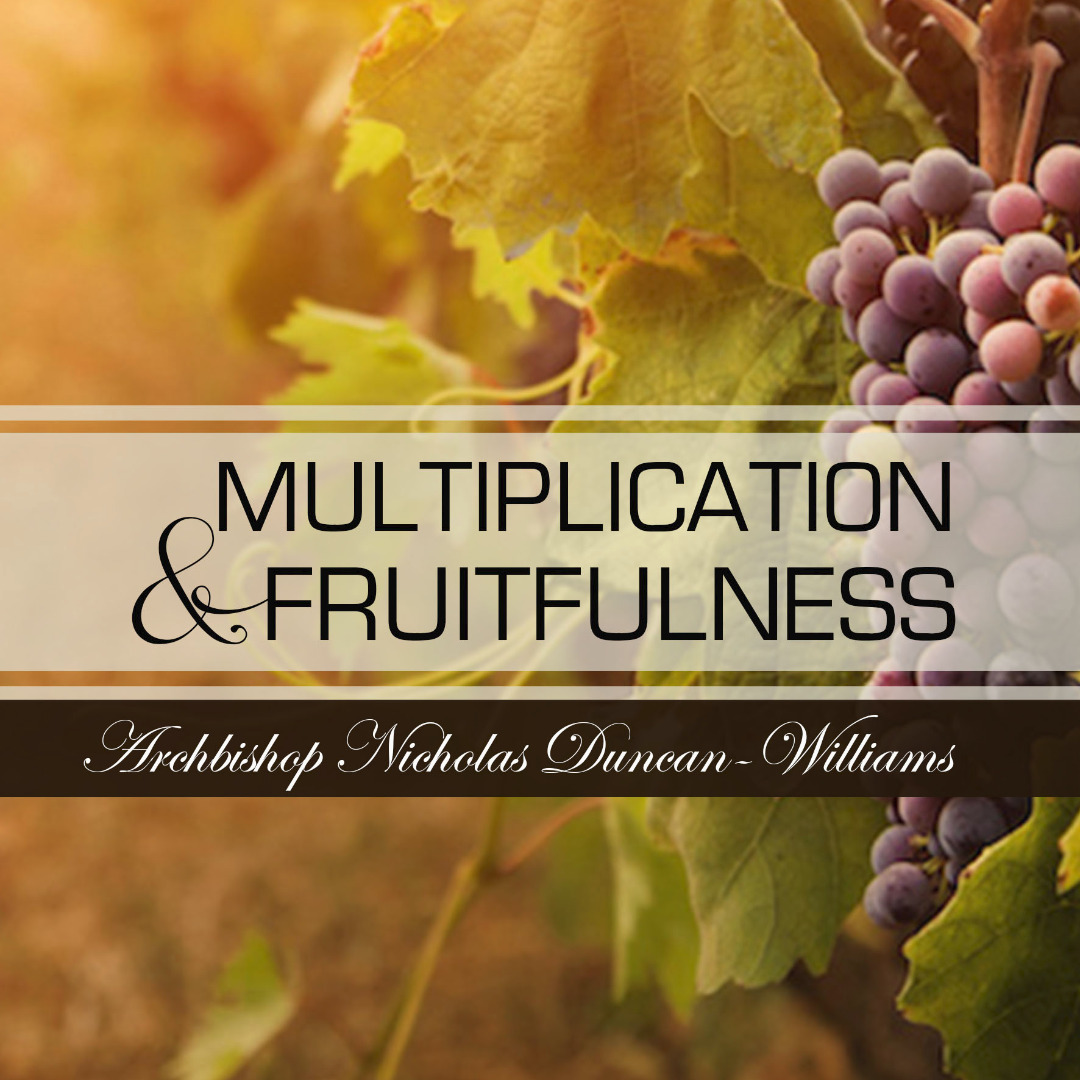 MULTIPLICATION AND FRUITFULNESS PT. 1