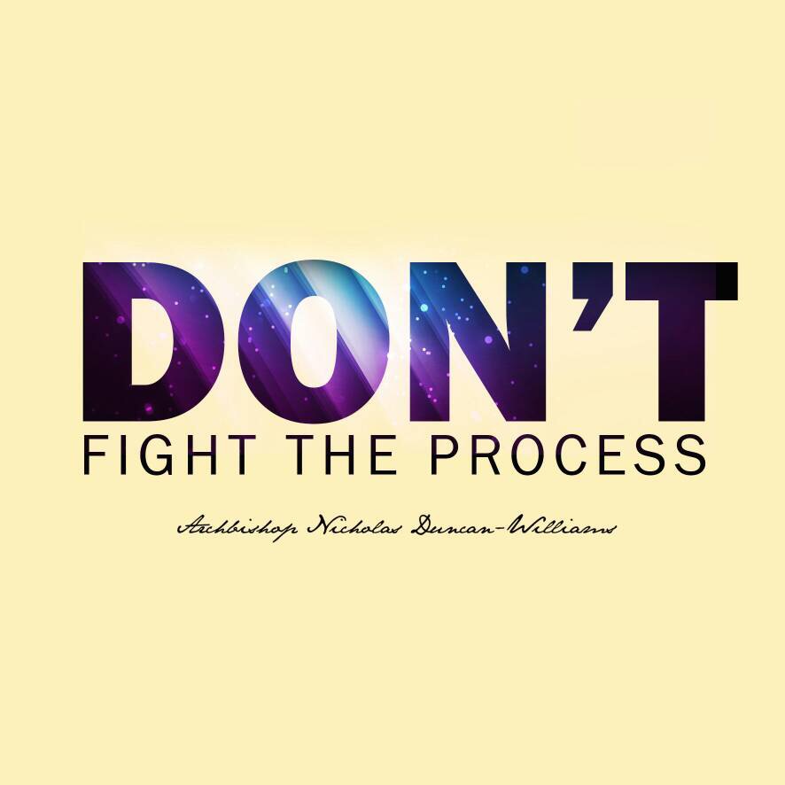 DON'T FIGHT THE PROCESS