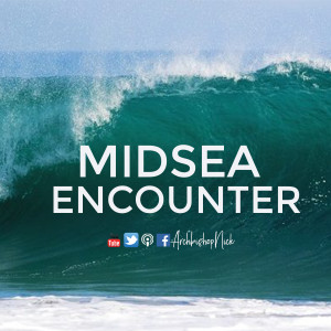 Midsea Encounter