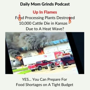 Do It Now - Prepare for Food Shortages on A Tight Budget