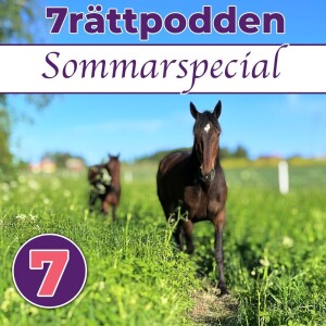 Sommarspecial #2 - Kevin Oscarsson & V86 Tingsryd
