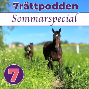 (V86 Åmål) Premiär för 7Rättpoddens sommar special (Gäst Johan Raumn)