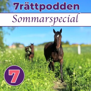 Sommarspecial #4  på djupet med Anton Knutsson & V86 genomgång inför Vaggeryd.