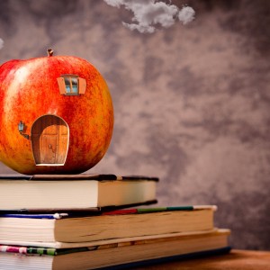 The Politics of School from Home