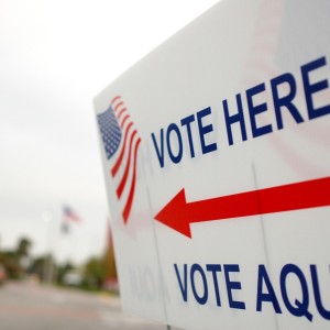 Interpreting the 2018 Election