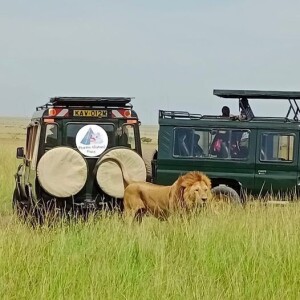 Unforgettable Kenyan Holiday with Drunken Elephant Mara