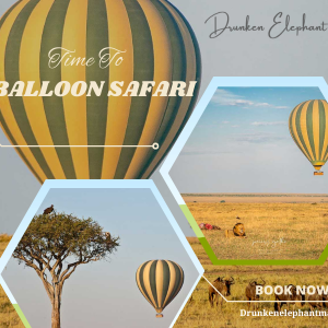 Drunken Elephant Mara Offers Hot Air Balloon Adventure For Safari Lovers