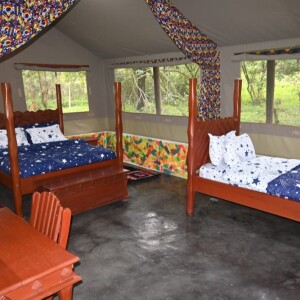 Masai Mara Wilderness Adventure: Experience Luxury at Tented Camps