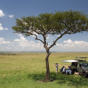 Exploring the Natural Wonders of Kenya: A Journey through the Great Rift Valley