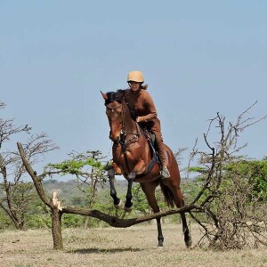 Unforgettable Horse Riding Safari - Explore Iconic Landscapes