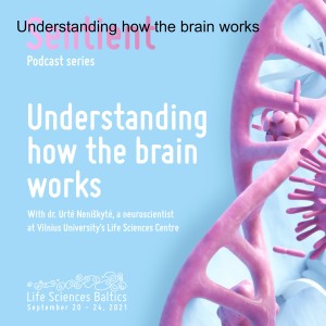 Understanding how the brain works