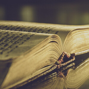THE PLACE OF THE WORD OF GOD || MORNING GLORY ||