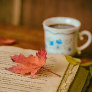 UNDERSTANDING THE WILL OF GOD II || MORNING GLORY