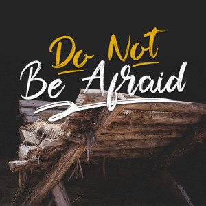 Do Not Be Afraid - Week 1