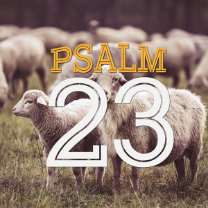 Psalm 23 - Week 6