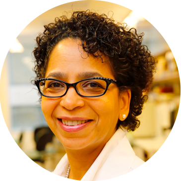 Investigating Breast Cancer