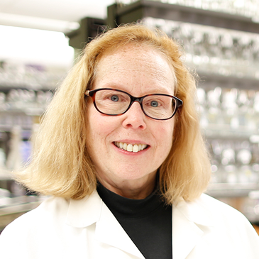 Investigating Breast Cancer