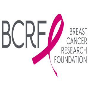 BCRF Symposium & Awards Luncheon: Live from New York City