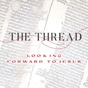 July 23 & 24 - The Thread (14)