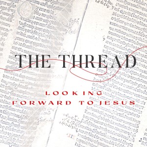 May 14 & 15 - The Thread (4)