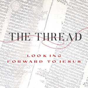 June 18 & 19 - The Thread (9)