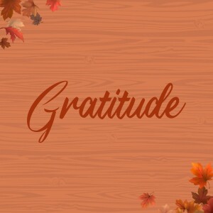 Nov 18 & 19 - Gratitude