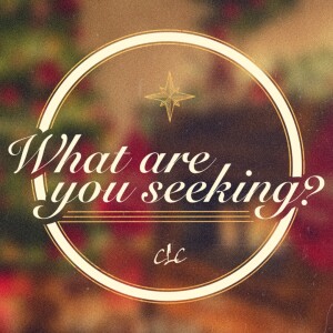 Dec 13, 14 & 15 - Seeking A Savior