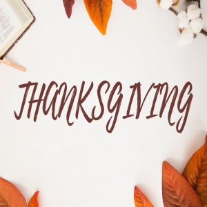 Nov 27 & 28 - Thanksgiving