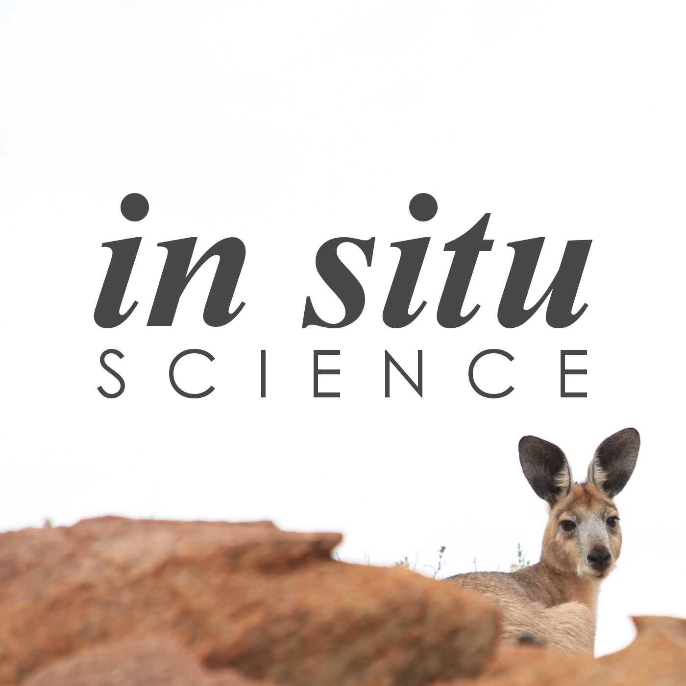 Ep 35. Microbats, bushfires and learning Norwegian with Clare Stawski