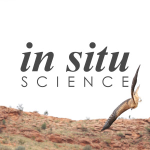 Ep 82. Emu farming, pregnancy tips and Bill Nye the Science Guy with Andrew Katsis