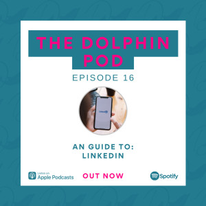 The Dolphin Pod - A Guide to LinkedIn