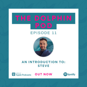 The Dolphin Pod - Introducing Steve