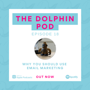 The Dolphin Pod - Why you Should use Email Marketing