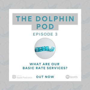 The Dolphin Pod - What are our "basic" rate services?