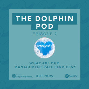 The Dolphin Pod - What are our 