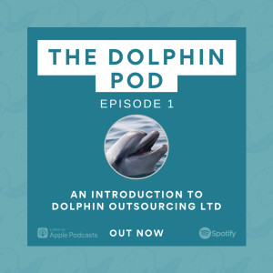 The Dolphin Pod - An Introduction to Dolphin Outsourcing Ltd