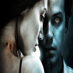 27 Vampires, Bats and Scary Cats