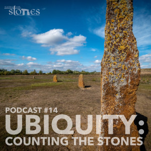 SWS - 014 | Ubiquity: Counting the Stones