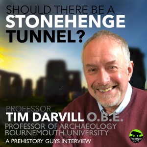Should there be a Stonehenge Tunnel? Prof. Tim Darvill