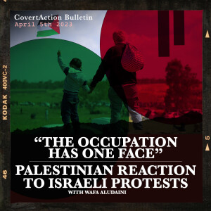 The Occupation Has One Face: Palestinian Reaction to Israeli Protests