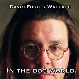teaser: r/Worldbuilding ad David Foster Wallace’s final novel